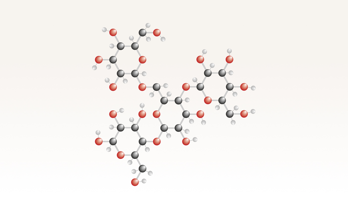 Polysaccharides molecular structure